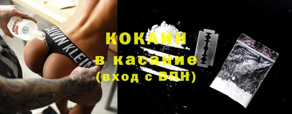 гашик Арсеньев