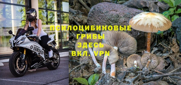 кокаин колумбия Армянск