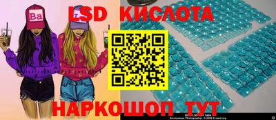 крисы Кандалакша