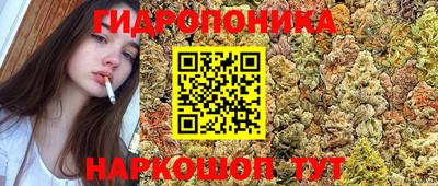 гидра Канаш