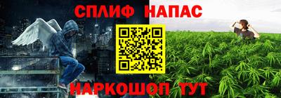 крисы Кандалакша