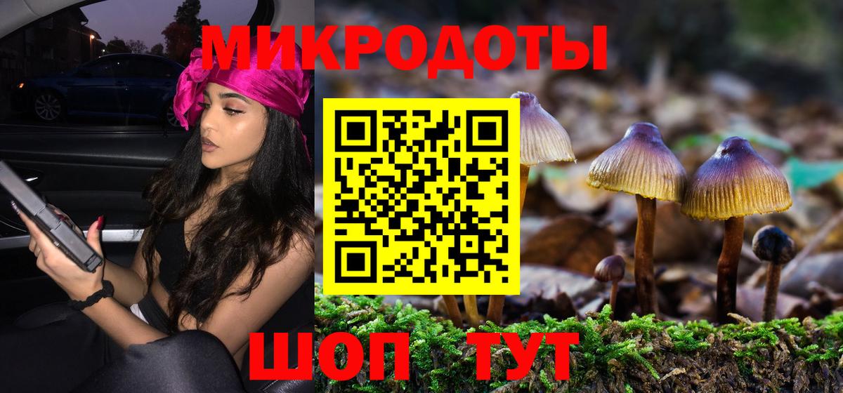 Галлюциногенные грибы мицелий  Вход с VPN  Можга  Галлюциногенные грибы Psilocybe 