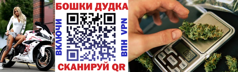Бошки марихуана планчик  KRAKEN ссылка  Можга 